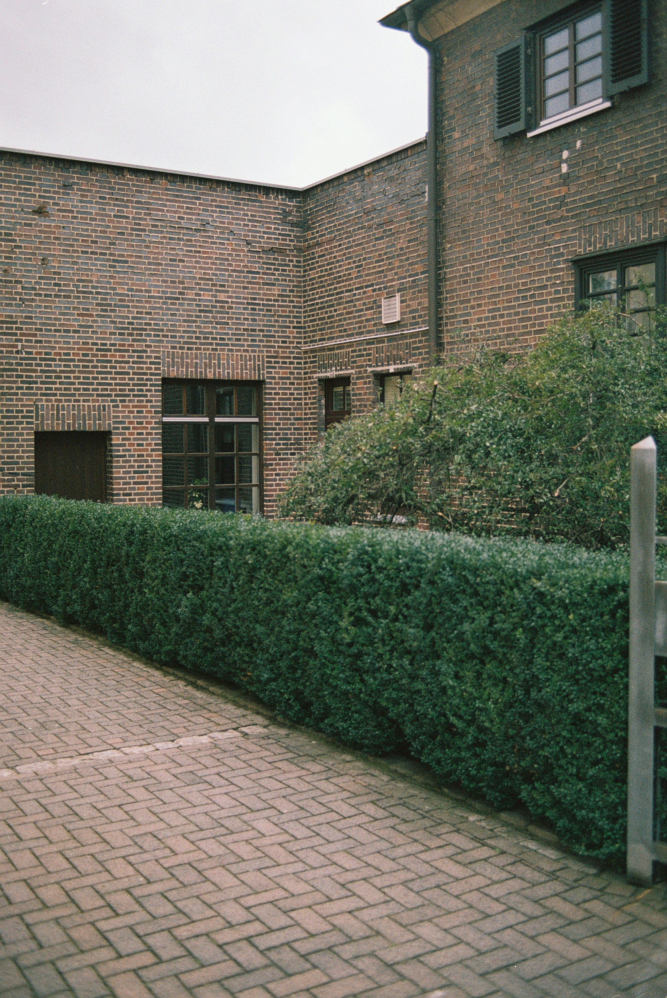 green grass near brown brick wall